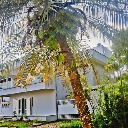 مبيت وإفطار أوباتوبا Casa Mani المظهر الخارجي الصورة